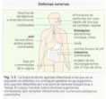 /album/fotogaleria/defensas-externas-png/